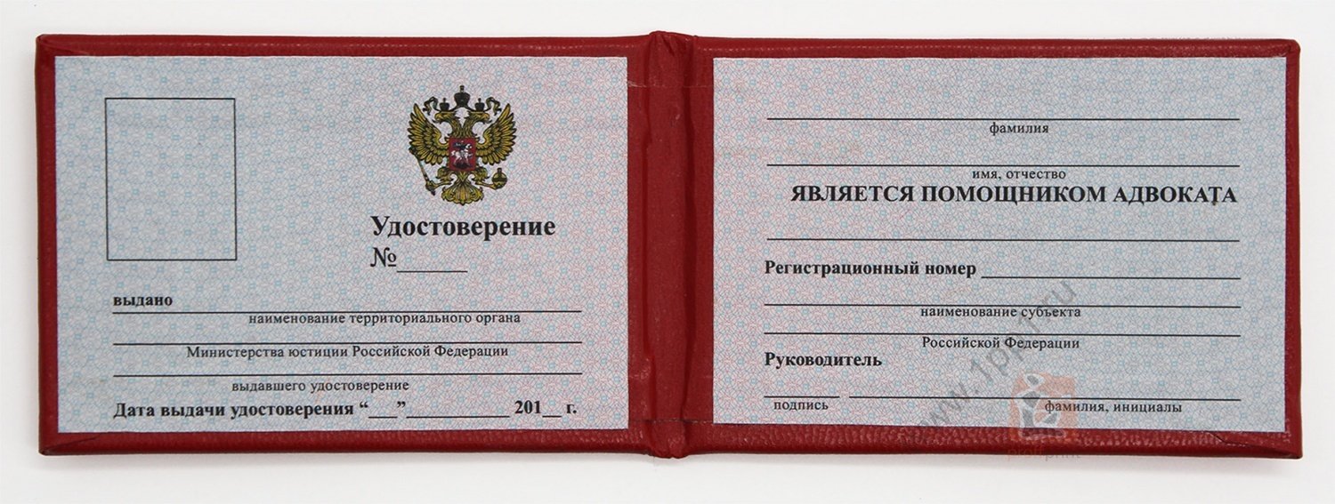 Стажер адвоката вакансии. Удостоверение помощника адвоката. Удостоверение адвоката образец. Удостоверение помощника адвоката образец. Удостоверение стажера адвоката.